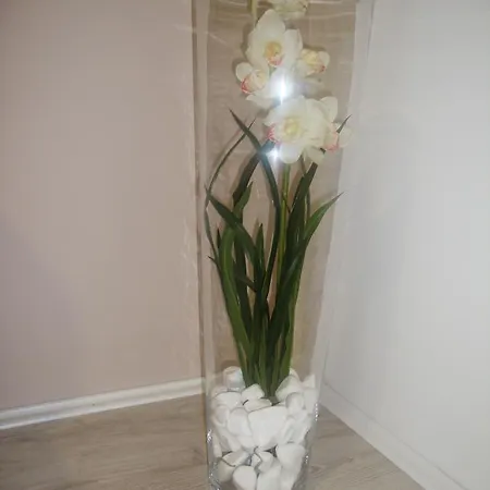 Smestaj Olivera 3* Niska Banja